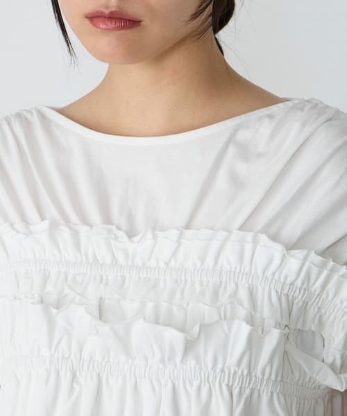104729576b_b_13_500.jpg