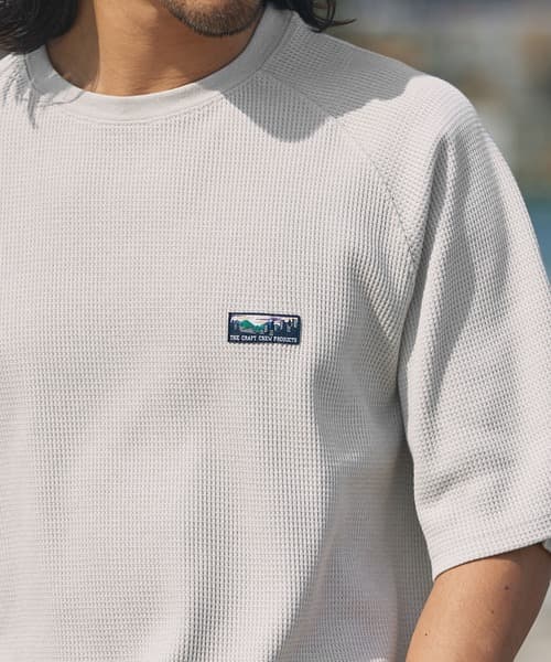 104767911b_b_123_500.jpg