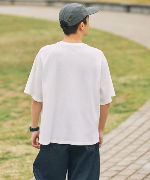 104767911b_b_21_500.jpg