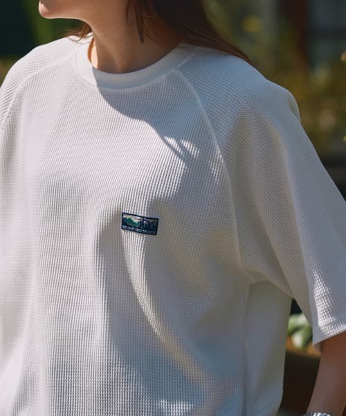104767911b_b_36_500.jpg