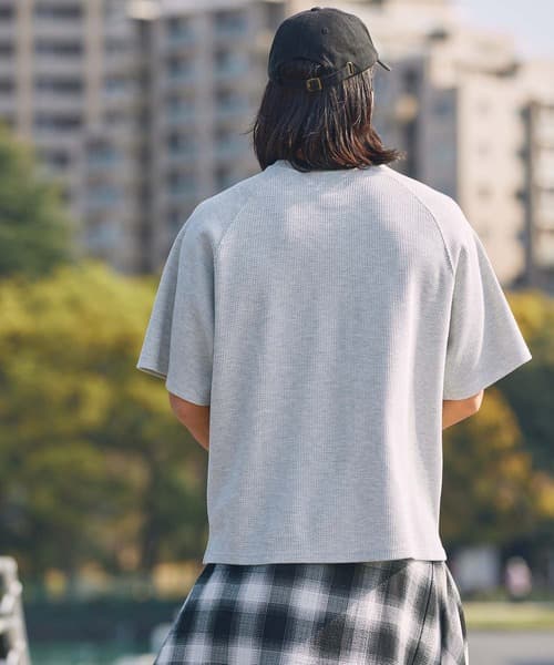 104767911b_b_79_500.jpg