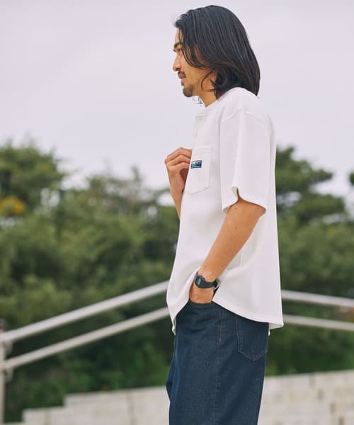 104767912b_b_77_500.jpg