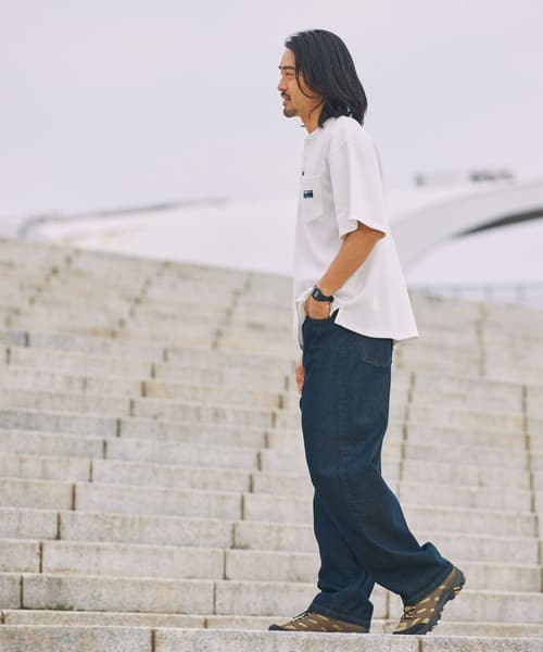 104767912b_b_83_500.jpg