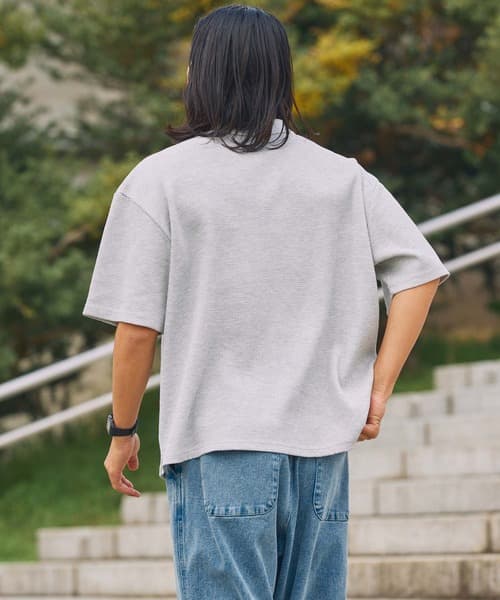 104767914b_b_131_500.jpg