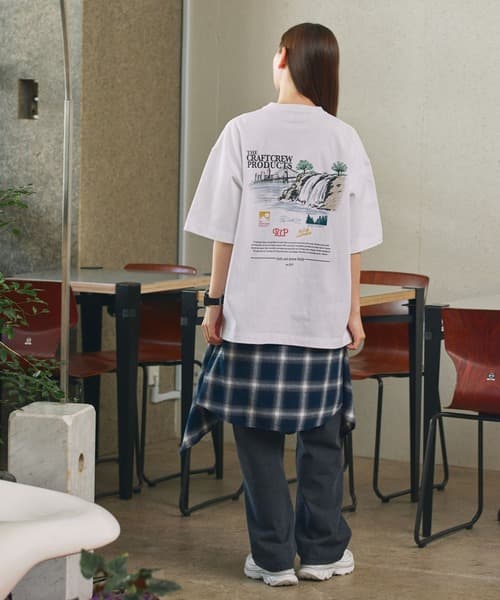 105271993b_b_109_500.jpg