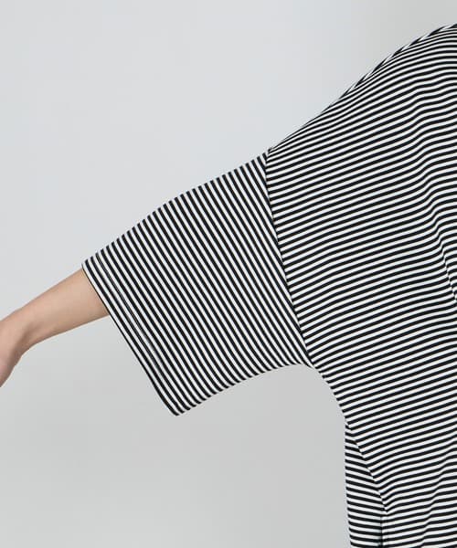 105509776b_b_47_500.jpg