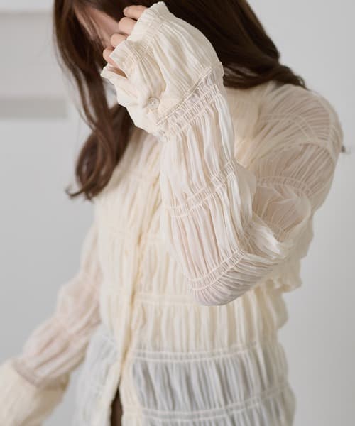 105865504b_b_19_500.jpg