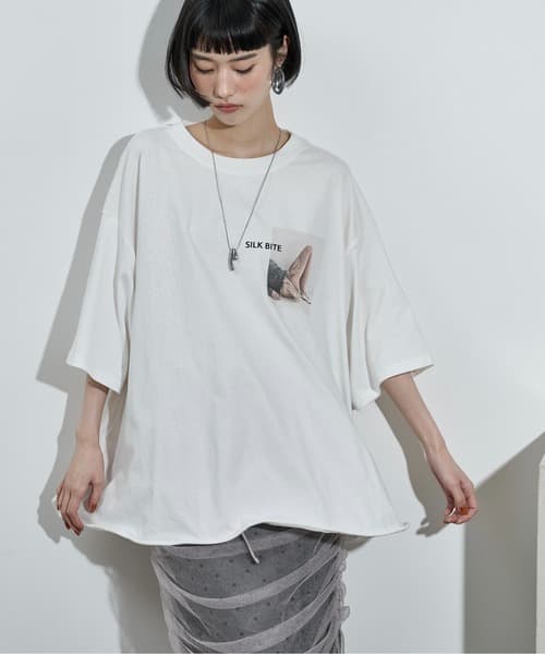 106332906b_b_23_500.jpg