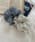 108652102b_b_01_35.jpg
