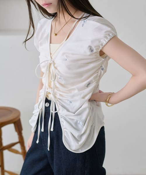 109249566b_b_17_500.jpg
