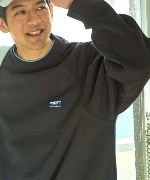 78362538b_b_137_500.jpg