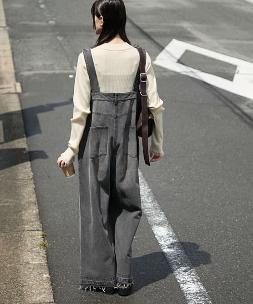 86799303b_b_10_500.jpg