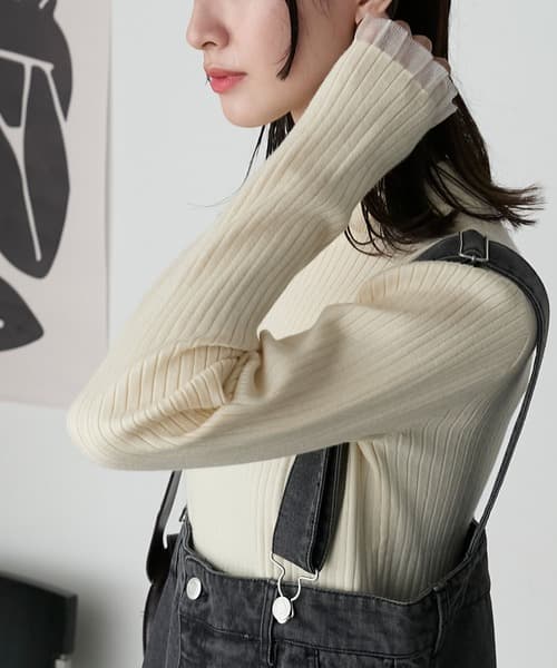 86799303b_b_13_500.jpg