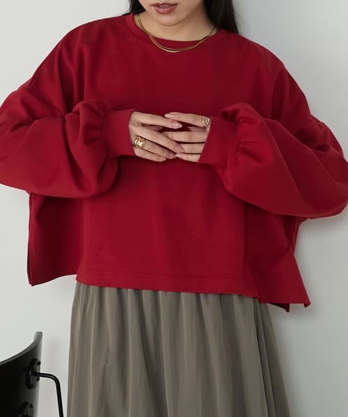 86799312b_b_423_500.jpg