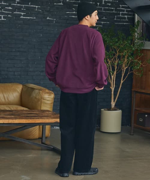 87286864b_b_131_500.jpg