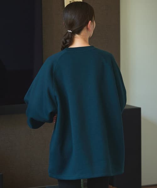 97799436b_b_41_500.jpg