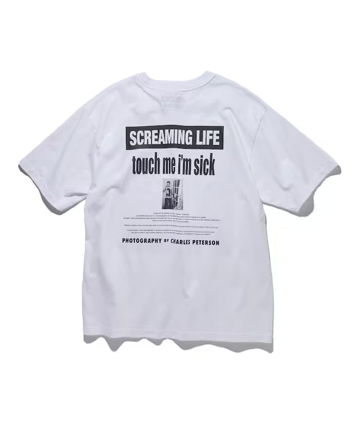 item67f8e873ba8c5.jpg