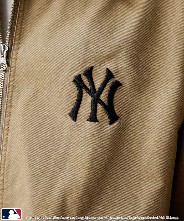 item689f113728221.jpg