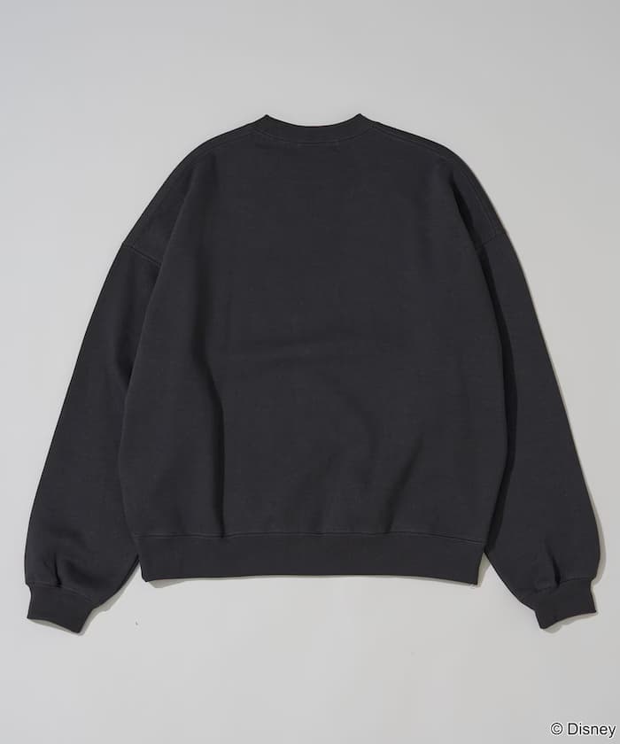 item68a35ba5377a5.jpg