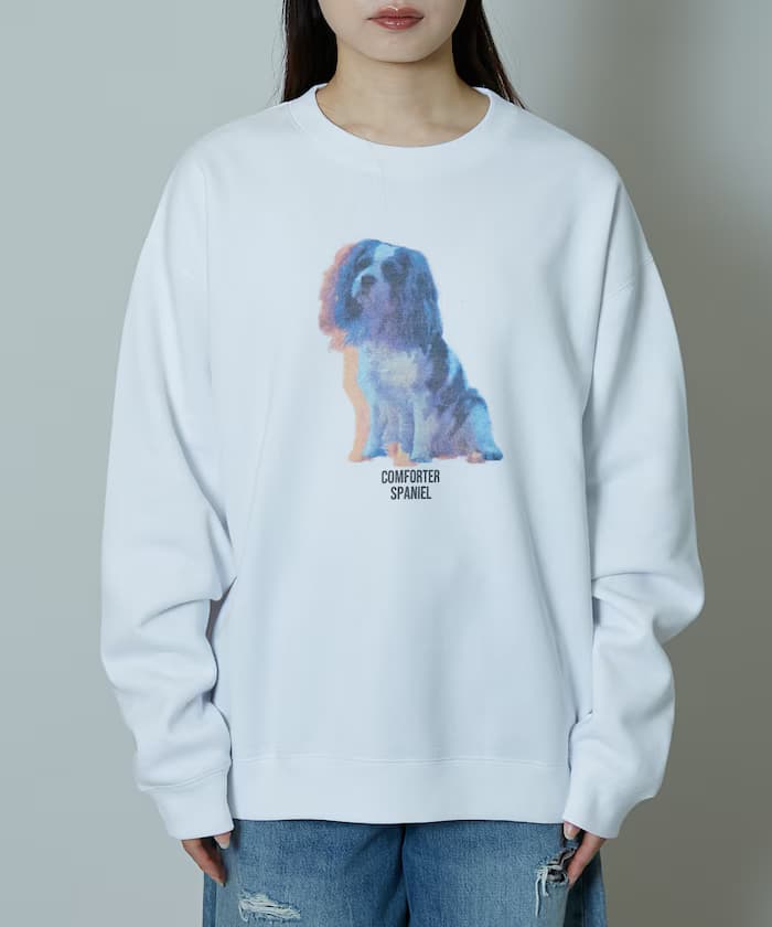 item68edf2f0eb133.jpg