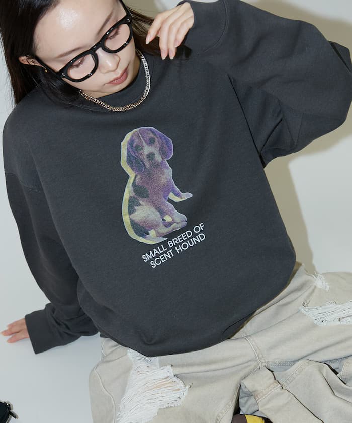 item68edf8568d73c.jpg