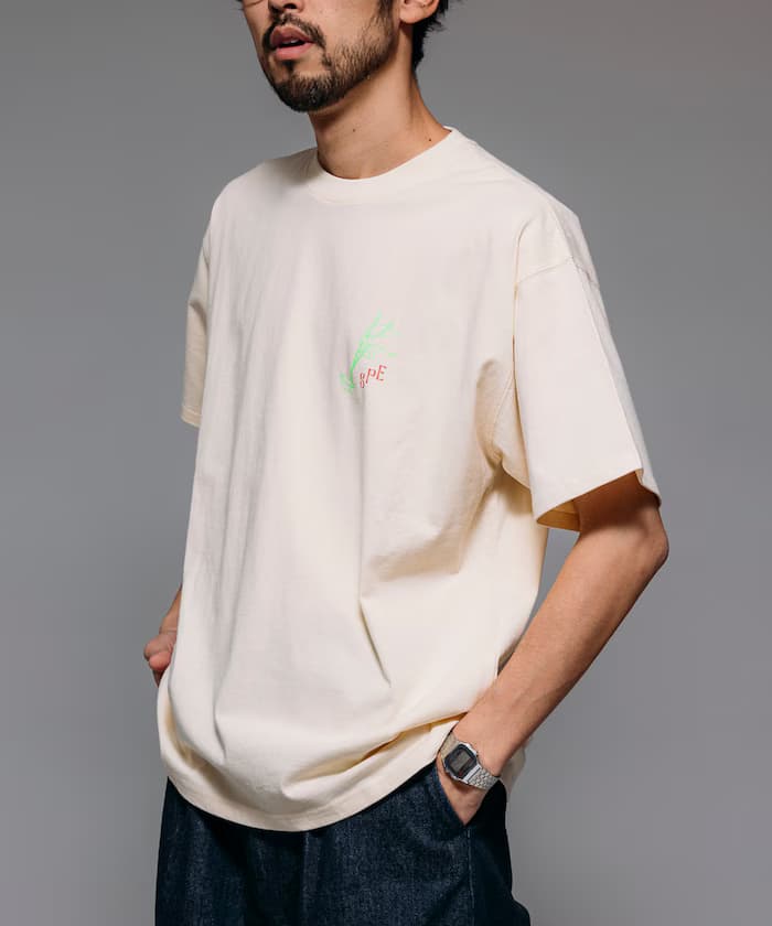 item69280835166d9.jpg