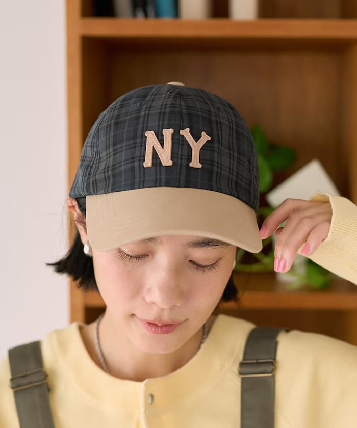 item69491a2ef03c6.jpg