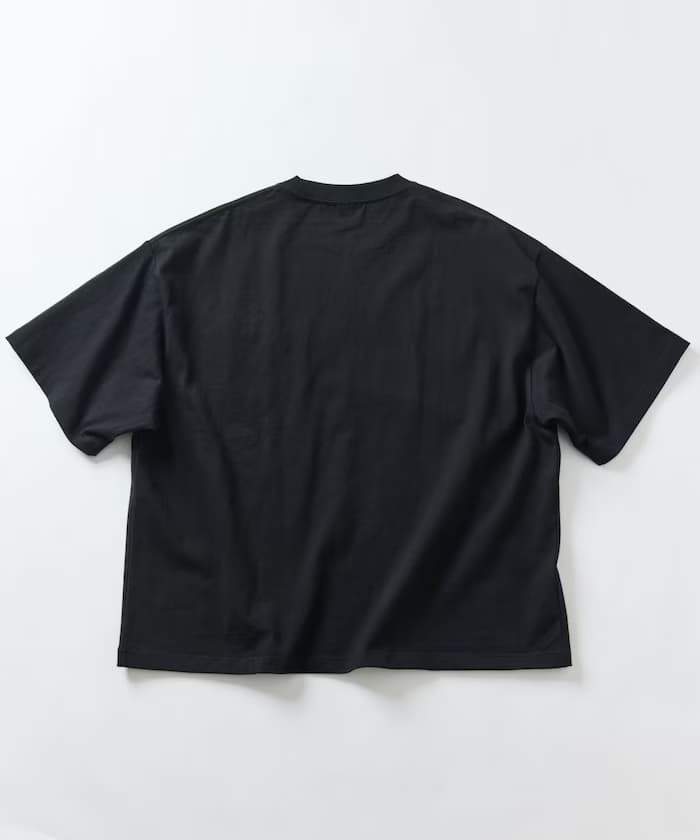item695ca598626fa.jpg