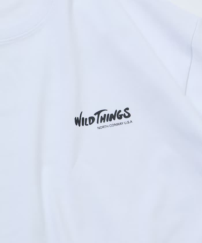 item696dc8c10617e.jpg