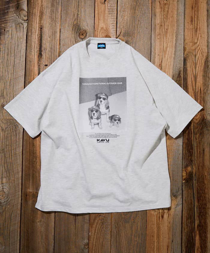 item697086ef0b8e9.jpg