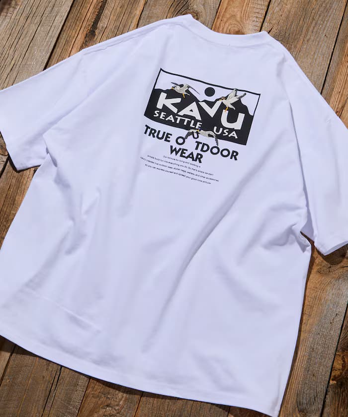 item697088e6a52c5.jpg