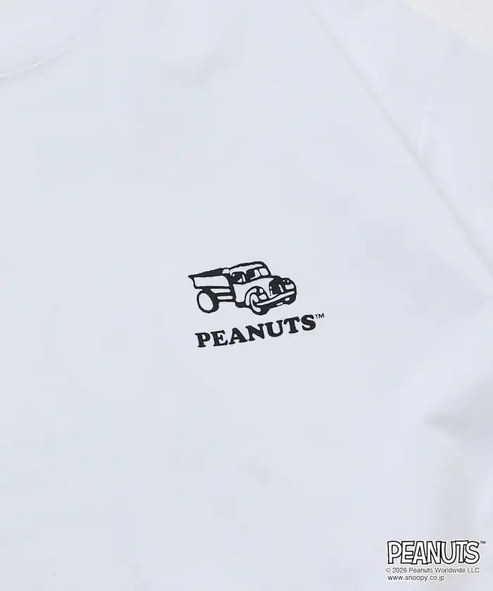 item69734511020c8.jpg