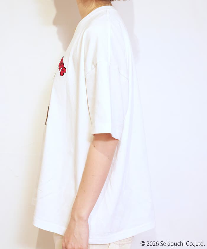 item698578bb32786.jpg