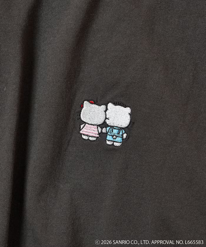 item69a909a4661f5.jpg