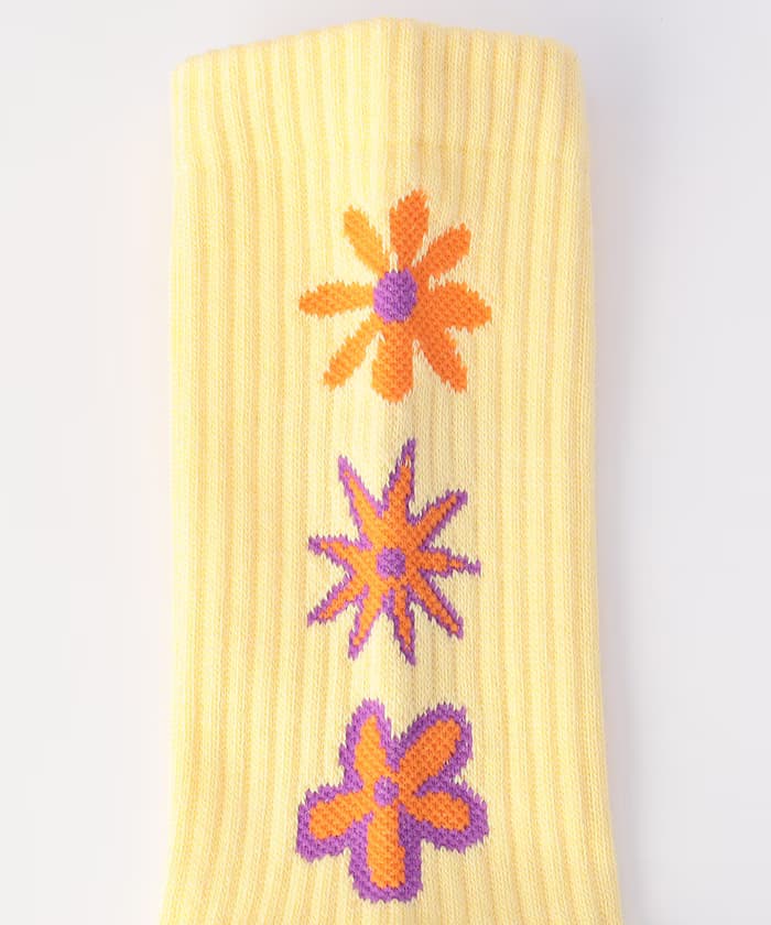item69acdb5836f4c.jpg