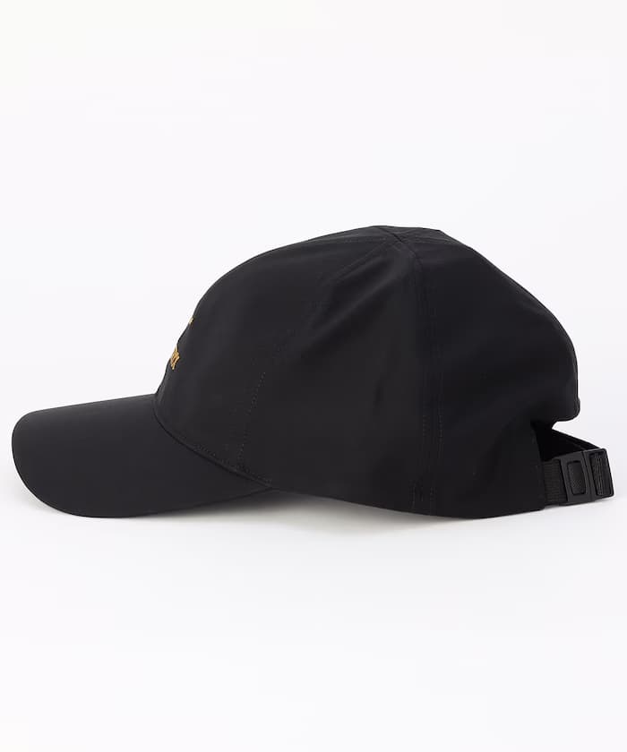 item69ae4168d2539.jpg