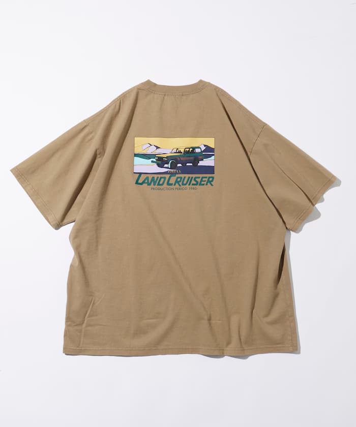item69ae66ab382a9.jpg