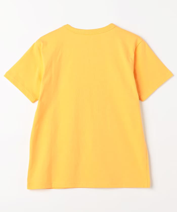 item69af78c838deb.jpg