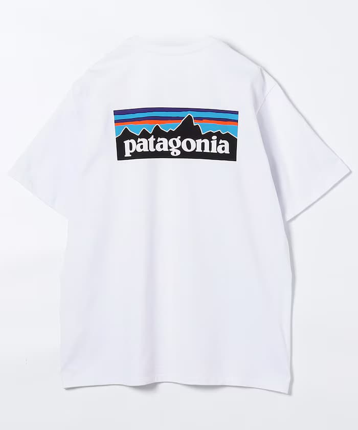 item69af8618169b1.jpg