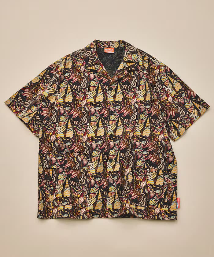item69c10042231c8.jpg
