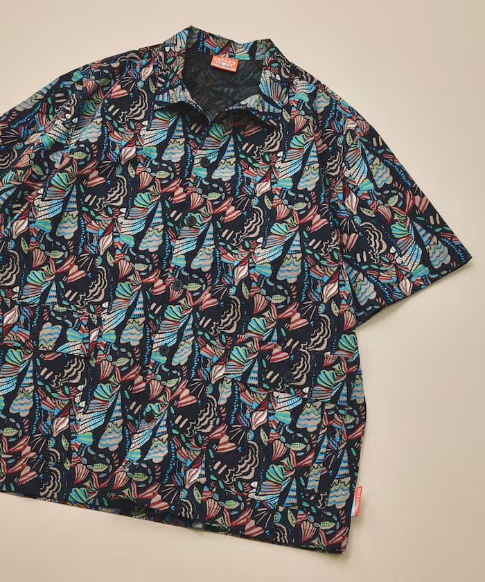 item69c10043dacc9.jpg