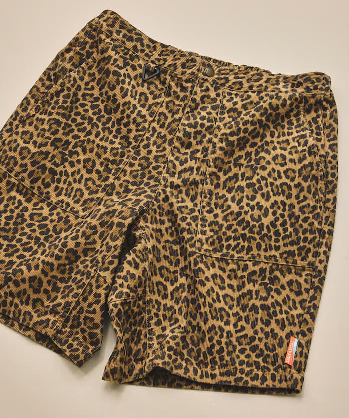item69c10352c0971.jpg