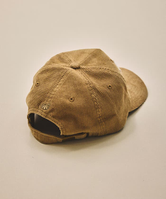 item69c104d5e831a.jpg