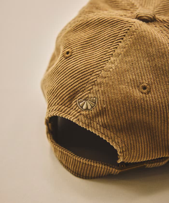 item69c104d656778.jpg