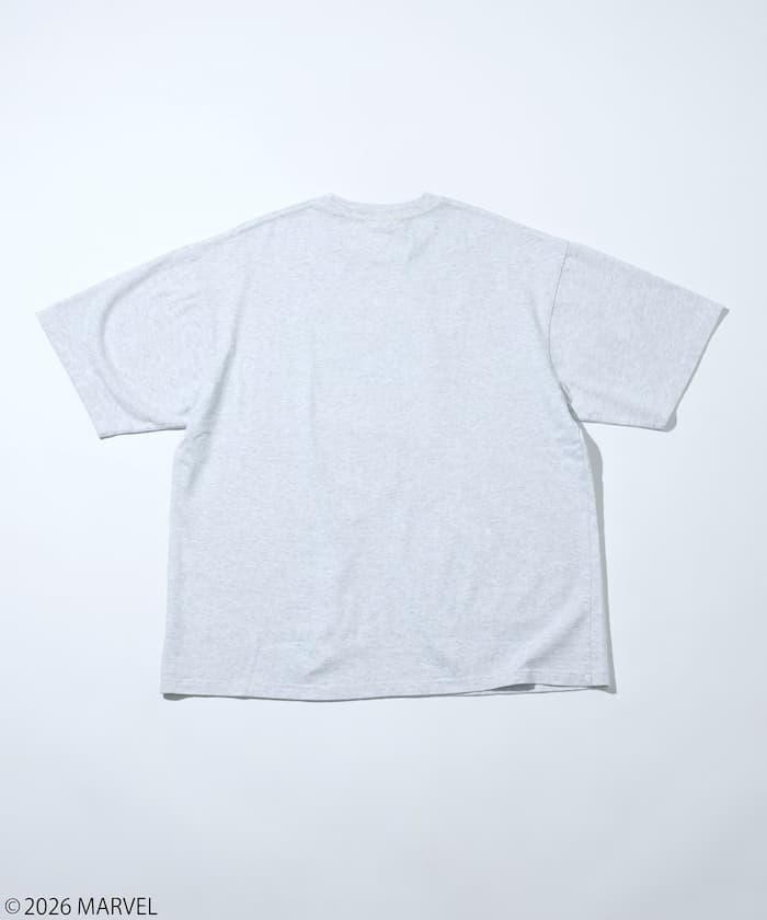 item69c3439182af9.jpg
