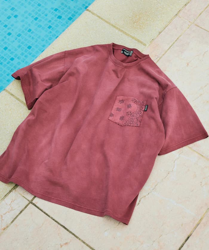 item69c38231eb760.jpg