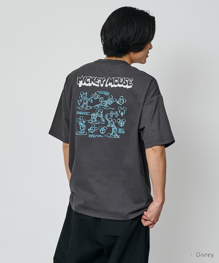 item69c39a587ee5a.jpg