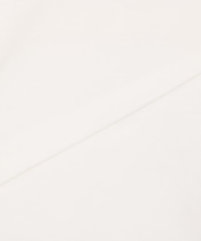 item69c8a41255b55.jpg