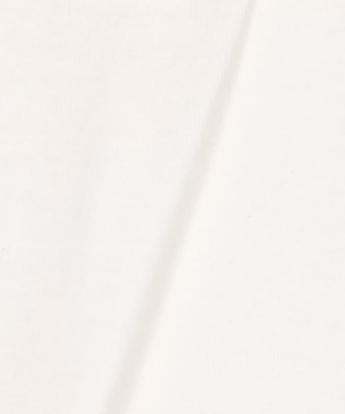 item69c8c6275fc8c.jpg