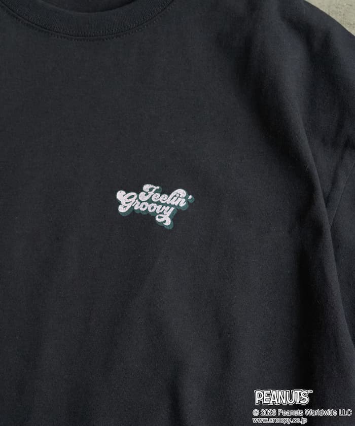 item69cdea5358669.jpg